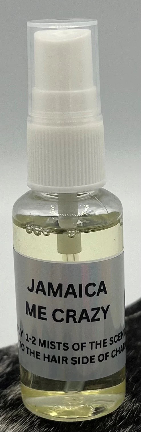 Jamaica Me Crazy Fragrance Oil | Tropical Coconut & Pineapple Scent | Car & Closet Freshener Spray