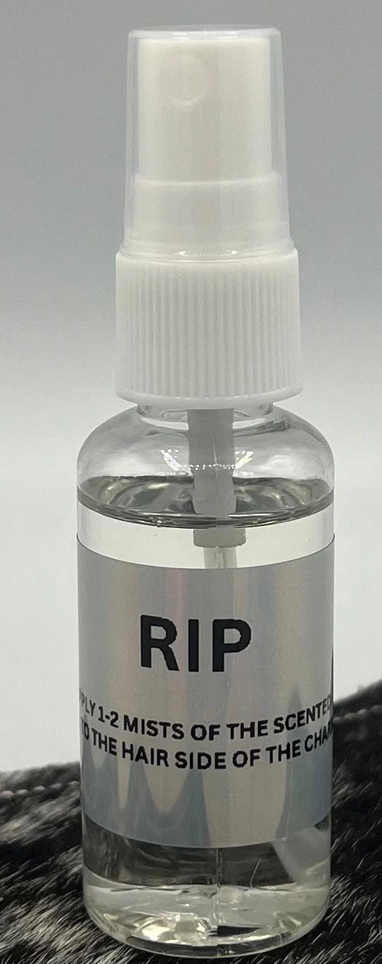 RIP Fragrance Oil | Sage, Bergamot & Leather Woods | Clean Masculine Car Freshie & Charm Spray