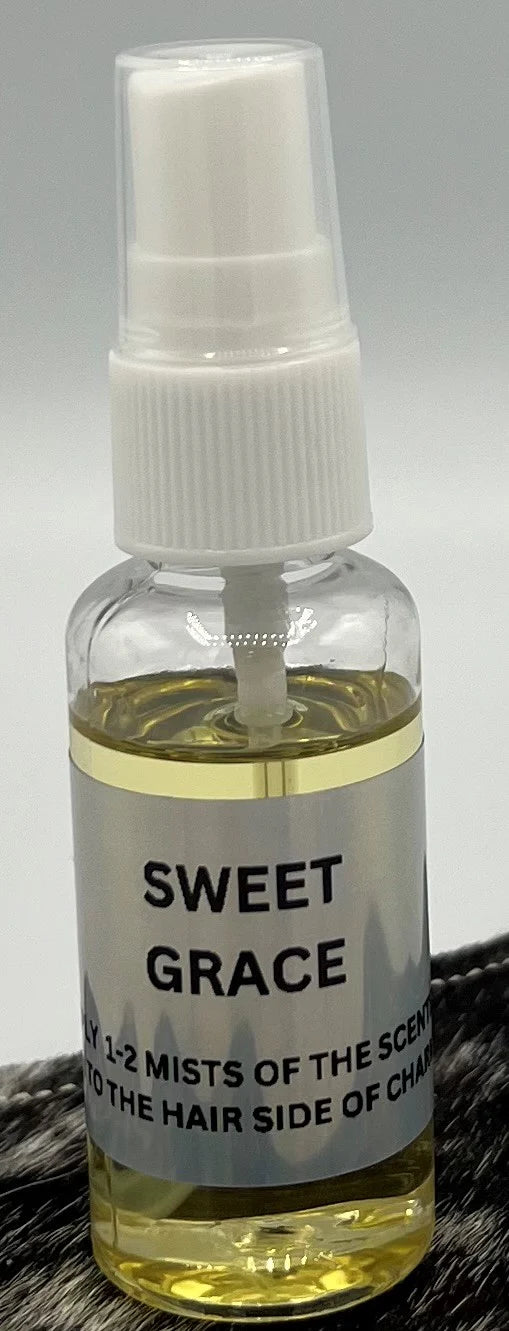 Sweet Grace Fragrance Oil | Bridgewater Candle Dupe | Floral Cotton Candy Car Freshie & Charm Spray