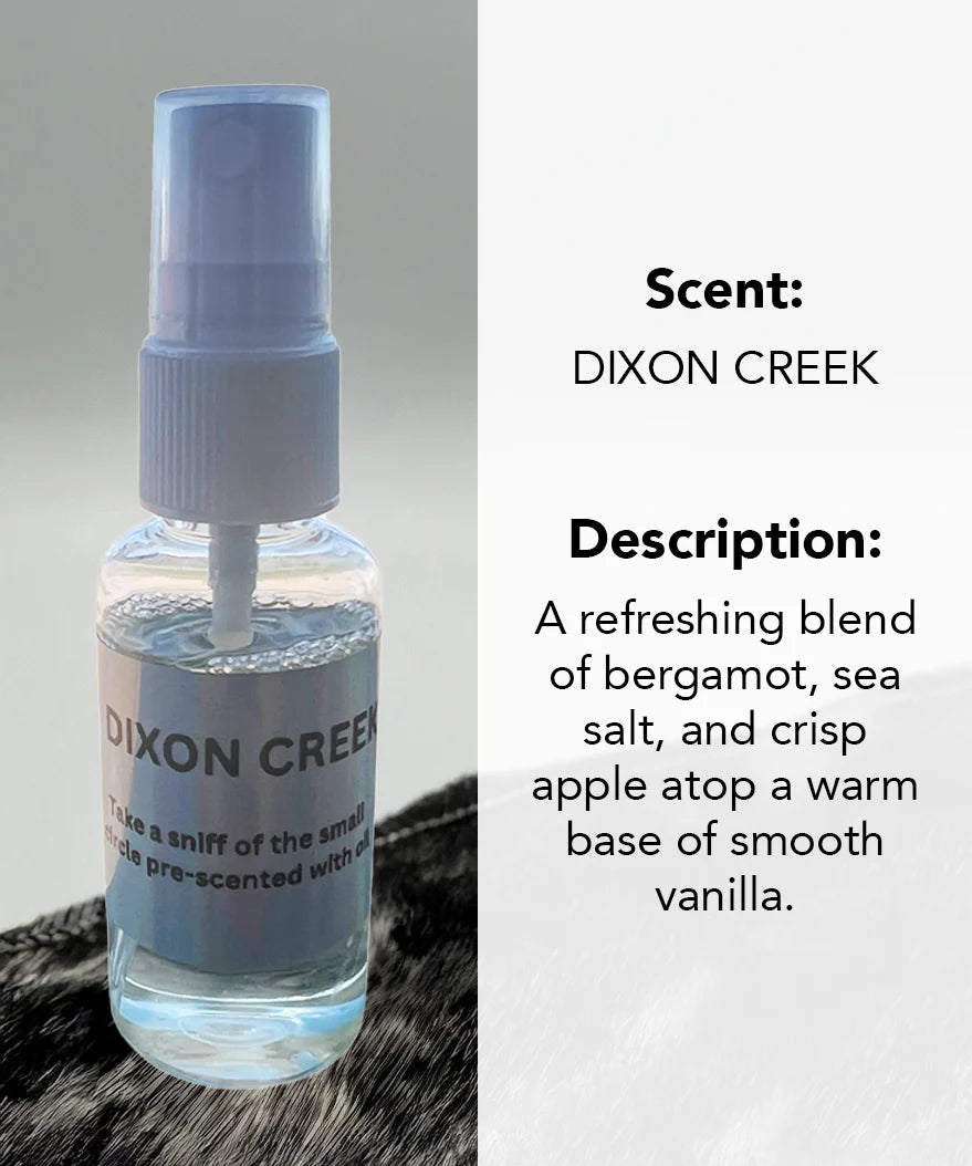 Dixon Creek Fragrance Oil | Fresh Bergamot & Sea Salt Scent | Car & Drawer Freshener Spray