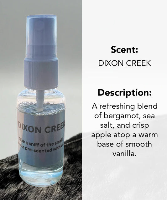 Dixon Creek Fragrance Oil | Fresh Bergamot & Sea Salt Scent | Car & Drawer Freshener Spray