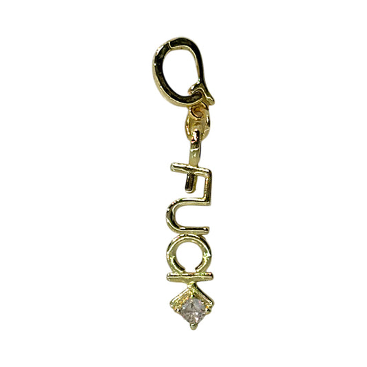 Edgy “F***” Word Charm – Triple Plated 18K Gold with Clasp & CZ Accent